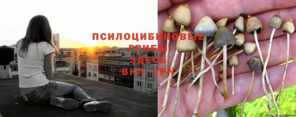 дурь Пролетарск