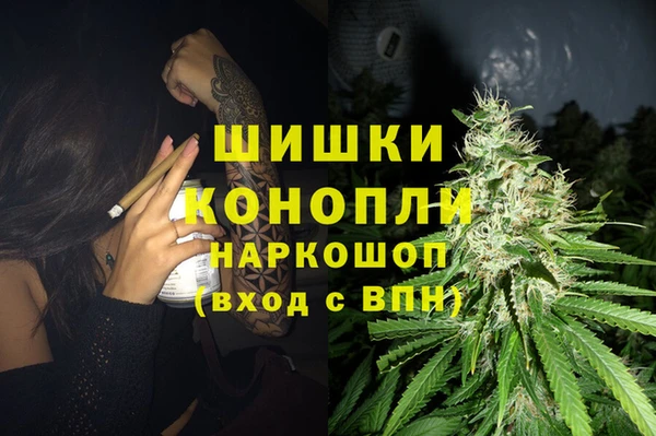 стаф Приозерск
