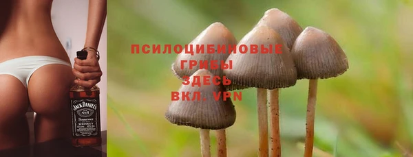 jwh Протвино