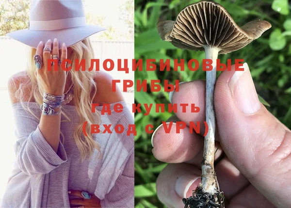 стаф Приозерск
