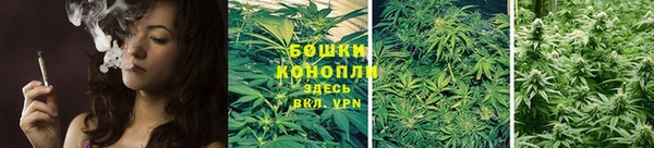 стаф Приозерск